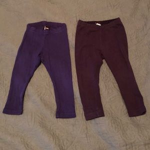 Tea Collection Leggings Bundle